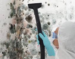 Best Residential Mold Inspection & Testing  in Alameda, CA